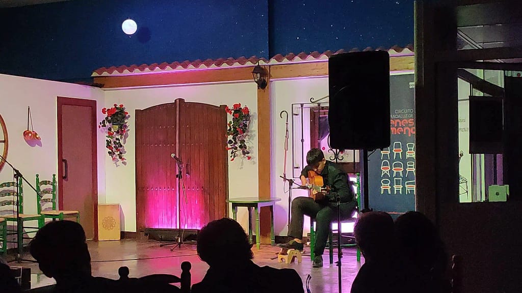 Circuito Andaluz de jovenes flamencos6