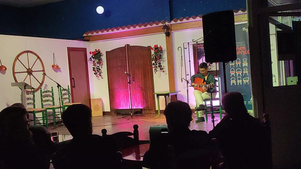 Circuito Andaluz de jovenes flamencos8