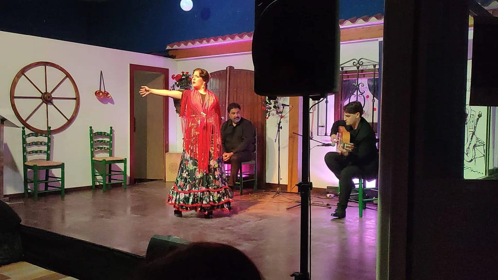 Circuito Andaluz de jovenes flamencos5