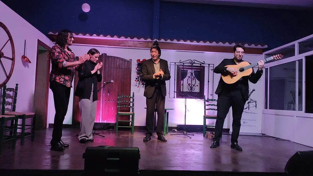 Velada De Baile con Paco Fernández, José Fernández e Hijo al cante y toque14