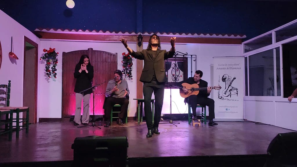 Velada De Baile con Paco Fernández, José Fernández e Hijo al cante y toque4