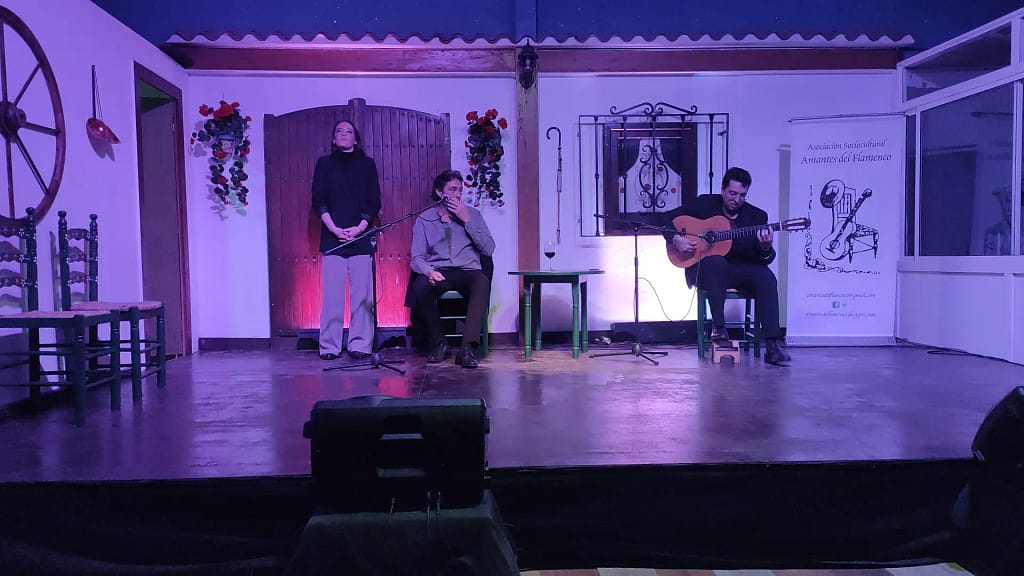 Velada De Baile con Paco Fernández, José Fernández e Hijo al cante y toque3